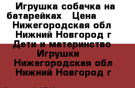 Игрушка собачка на батарейках › Цена ­ 100 - Нижегородская обл., Нижний Новгород г. Дети и материнство » Игрушки   . Нижегородская обл.,Нижний Новгород г.